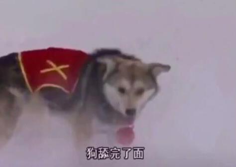 吃完面图