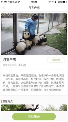 pandapia熊猫派app下载