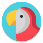 Parrot