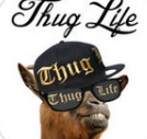 thug life maker