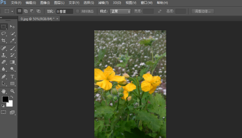 photoshop cs6怎么翻转照片素材？photoshop cs6翻转照片素材的方法截图