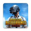 pubgm国服