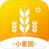 小麦团V2.5.1 安卓最新版