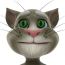 会说话的汤姆猫 Talking Tom Cat