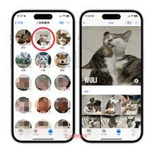 iOS17照片应用如何提升人物宠物识别准确性
