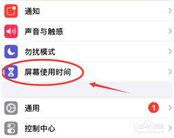 苹果手机如何禁止安装新APP
