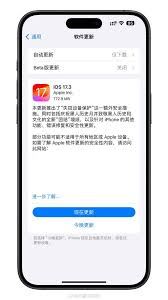 iPhone上如何启用被盗设备保护