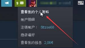 steam交易链接怎么复制
