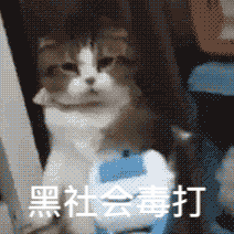 你就是缺少社会的毒打表情包 缺少社会毒打表情图片大全