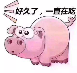 抖音粉猪吃屎表情包2