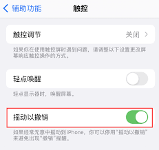 应用程序支持iPhone的“摇动以撤销”功能吗