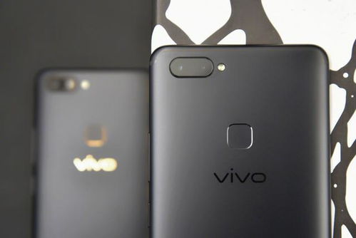 vivo X200Pro拍照现炫光