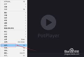 PotPlayer如何隐藏文件名称