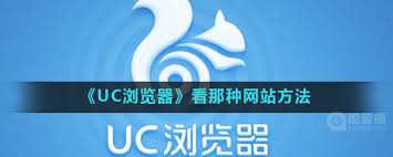 uc浏览器如何查看网站