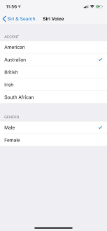 如何在Siri中设置男声