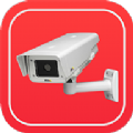 Live Camera Viewer