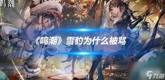 鸣潮雪豹指的是谁