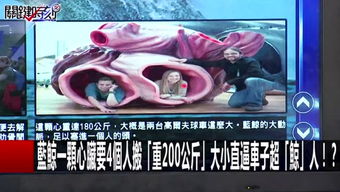 水银疗养院杂闻全收集攻略