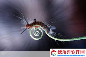 魔兽世界希利苏斯异种虫探寻技巧