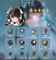 鸣潮洛可可突破材料有哪些