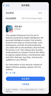 iOS18.1 RC版关闭验证了