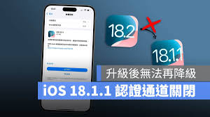 iOS18关闭验证通道