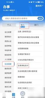 冀时办查询生育津贴