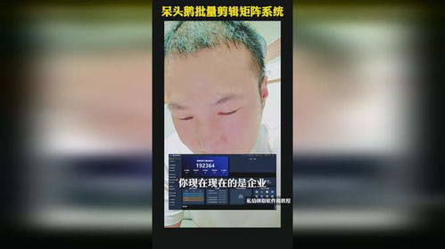 呆头鹅是什么意思