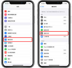 iPhone无目标的旁白声音开启方法