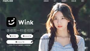 Wink去水印如何操作教程