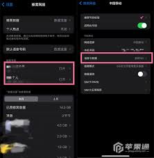 ios15怎么开启5G网络