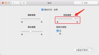 AppleMagicMouse无法连接到Mac