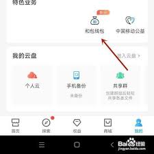 和包支付在哪里可以找到