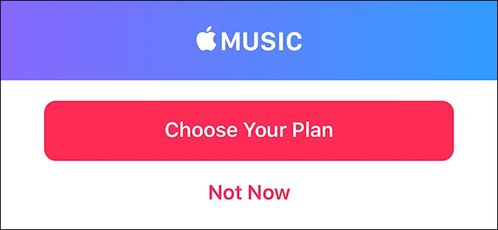 如何在iPhone上对AppleMusic播放列表进行排序