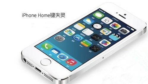 屏幕时间功能在iPhone上失效怎么办