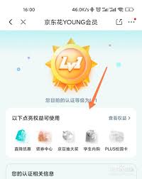 京东学生认证如何查看