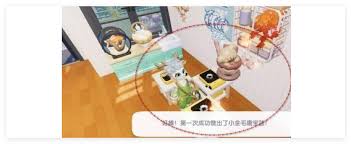 心动小镇怎么烹饪小金毛康宝蓝