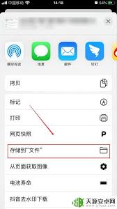 苹果手机我的iphone文件夹位置在哪里