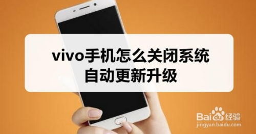 vivo手机如何禁用自动更新系统