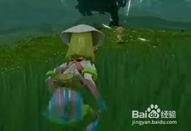 宝可梦阿尔宙斯小火猴在哪里出现