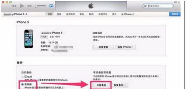 iPhone照片恢复教程