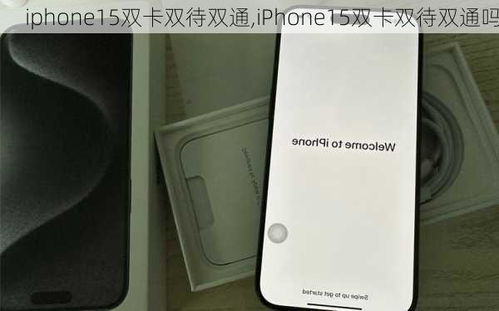 iPhone 15是否支持双卡双待