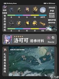 鸣潮2.0洛可可养成材料收集攻略