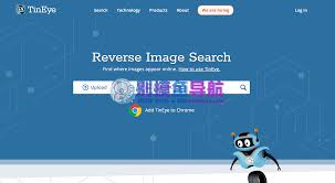 tineye识图官网在哪里