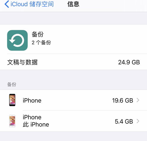 iCloud储存空间中“其它”文件包含哪些