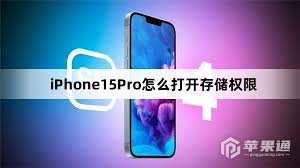 苹果iPhone15怎样开启存储权限