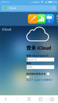 使用iCloud专用代理在iPhone15上保护网页浏览