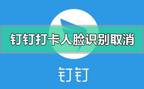 钉钉自动打卡功能详解