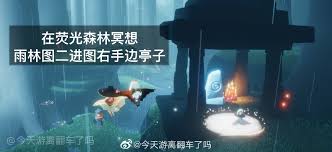 光遇荧光森林冥想怎么完成