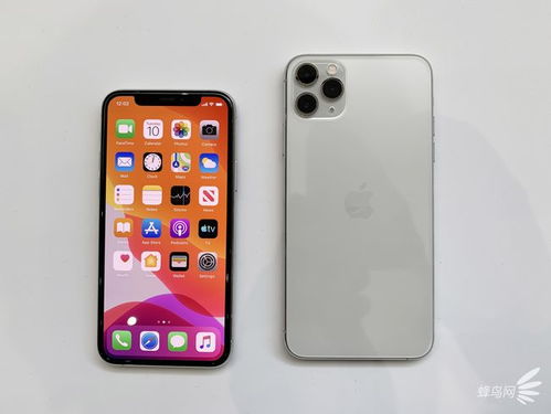 iPhone11promax如何进行朗读屏幕